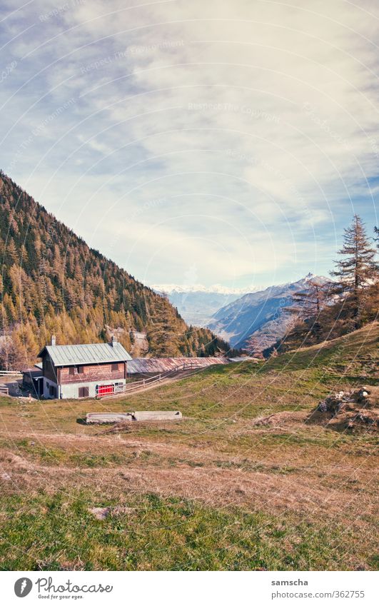 Alpenluft Freizeit & Hobby Ferien & Urlaub & Reisen Ausflug Ferne Freiheit Berge u. Gebirge Haus Umwelt Natur Landschaft Luft Himmel Wolken Hügel Felsen Gipfel