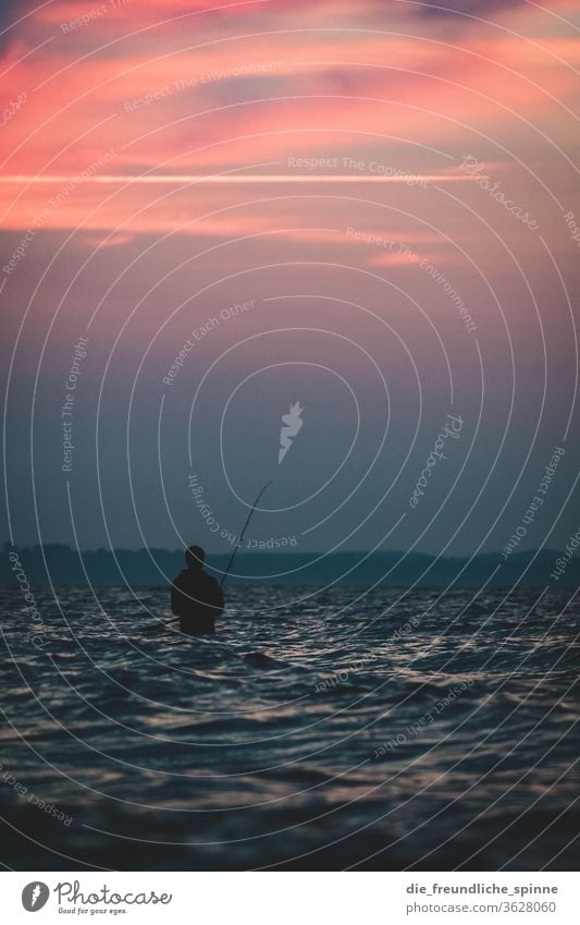 Angler im Meer Ostsee Sonne Sonnenaufgang Timmendorfer Strand Sonnenuntergang Dämmerung Farbfoto Außenaufnahme Ferien & Urlaub & Reisen Wasser Horizont Himmel