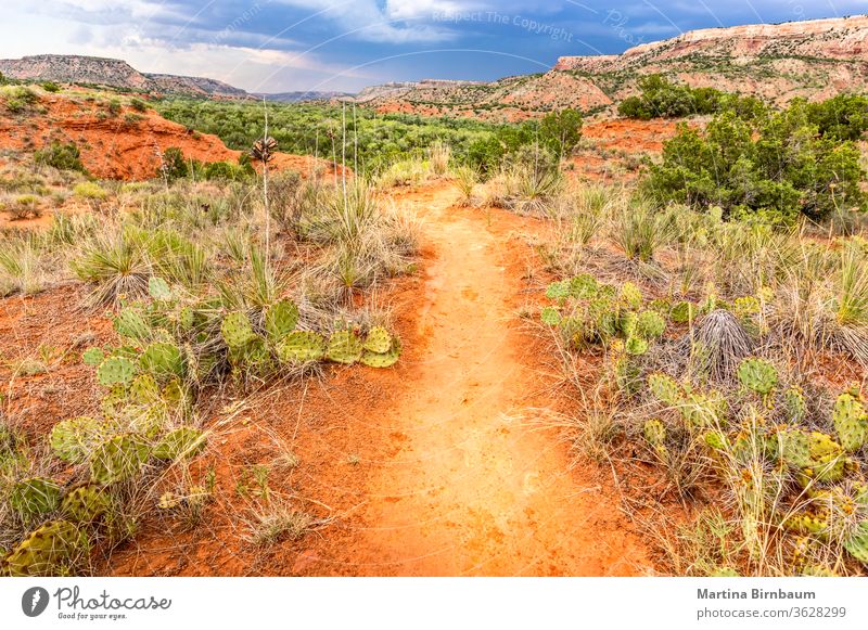 Wanderweg im Palo Duro Canyon State Park, Texas Nachlauf texas natur duro palo Schlucht wüst Landschaft reisen im Freien Natur palo duro-Schlucht Tourismus