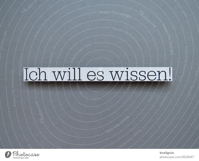 Ich will es wissen! Neugier wissensdurstig Wissen Interesse wollen nachdrücklich Buchstaben Wort Satz Letter Typographie Schriftzeichen Freisteller Text