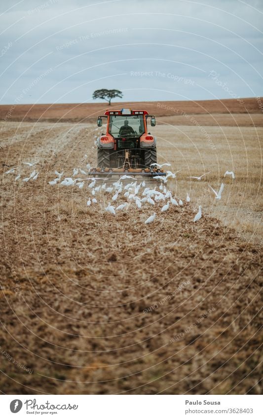 Traktor-Pflugfeld pflügen gepflügt Ackerbau Nutzpflanze Feld Erde Natur braun Landschaft Herbst Menschenleer landwirtschaftlich Wachstum Horizont Himmel Pflanze