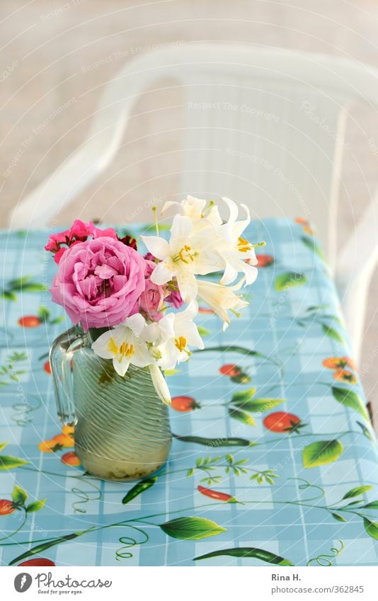 Noch mehr Blümchen Stuhl Tisch Blühend authentisch hell blau mehrfarbig rosa rot ruhig Tischwäsche Glaskrug Vase Plastikstuhl Terrasse Rose Lilien Farbfoto