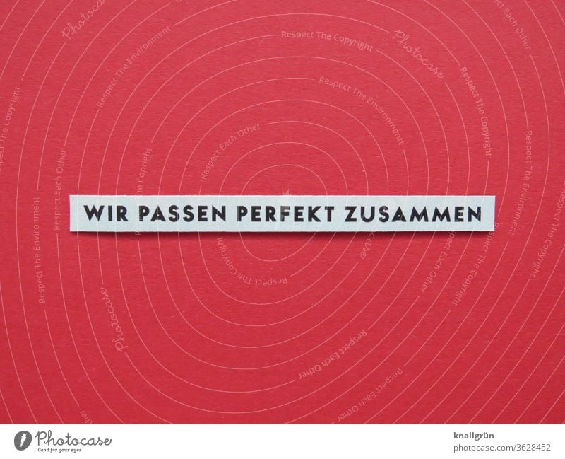 Wir passen perfekt zusammen Liebespaar Traumpaar Verliebtheit Partnerschaft Vertrauen zusammengehörig Zuneigung Paar Glück harmonisch Zusammensein Mann Frau