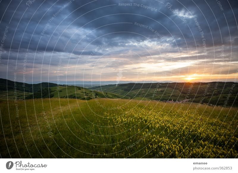 |700| Kaiserstuhl Ferien & Urlaub & Reisen Ausflug Freiheit Berge u. Gebirge wandern Umwelt Natur Landschaft Pflanze Himmel Wolken Sonne Frühling Sommer Klima