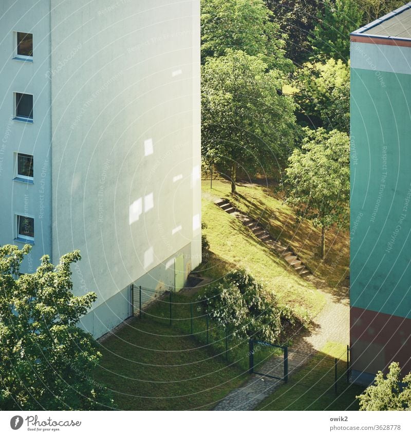 Spaltbares Material Schönes Wetter Pflanze Baum Gras Grünpflanze Wiese Bautzen Haus bevölkert Stadtrand Kleinstadt Deutschland Gebäude Plattenbau Mauer Wand