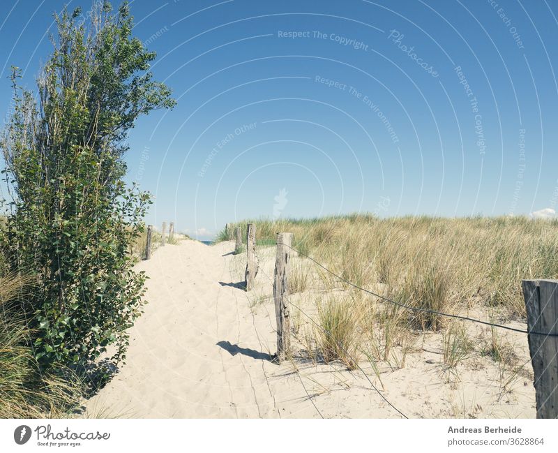 Weg zum Strand Deutschland Hintergrund baltisch Strandrasen schön blau Brise Küste wüst trocknen Düne Dunes Europa Zaun Wald Gras grün Gesundheit Horizont