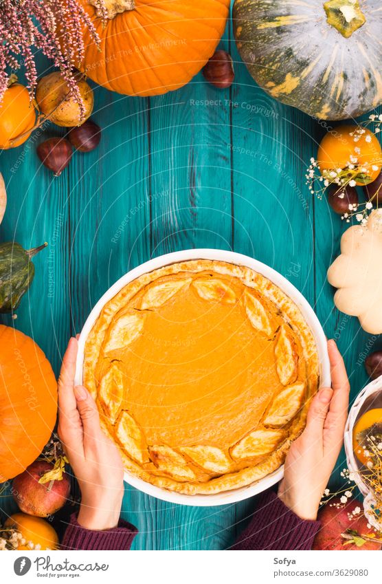 Kürbiskuchen, verschiedene Kürbisse, Herbstfrüchte Hintergrund Frau Hände Pasteten Kuchen Rahmen Lebensmittel Halloween oben Einladung Blätter Stimmung November