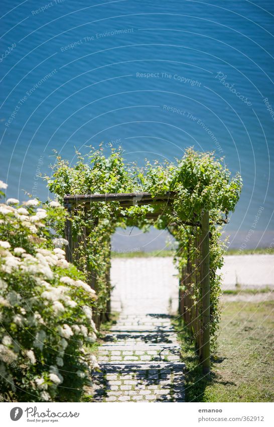 Wassertor Ferien & Urlaub & Reisen Ausflug Sommer Strand Wellen Umwelt Landschaft Klima Pflanze Sträucher Park Seeufer Tor dünn blau grün Loggia Tunnel