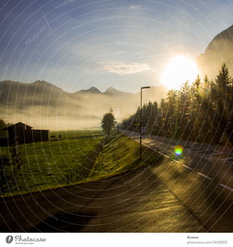 mit dem ersten Bus in die Berge Alpen Straße Morgen Sonnenaufgang früh Morgennebel Nebel ländlich Morgenlicht Bergstraße Alpenstraße Weideland Berggipfel