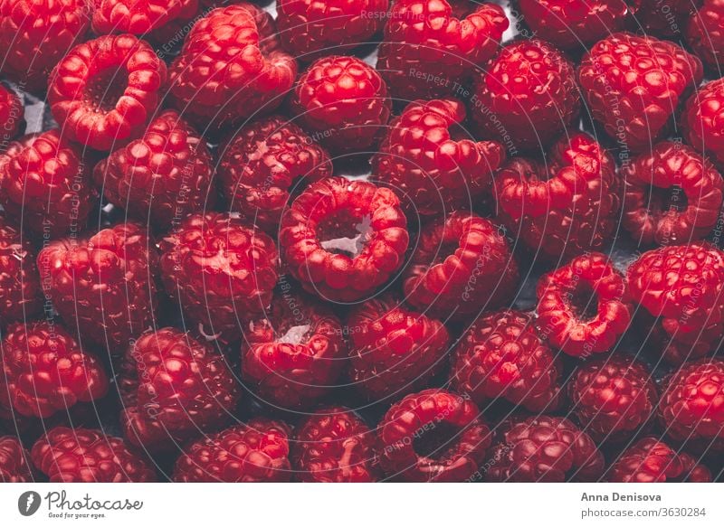 Makro von frischen Himbeeren Beeren Sommer reif lecker Ernährung geschmackvoll Diät rot Lebensmittel süß nahrhaft Garten Draufsicht flache Verlegung Gesundheit