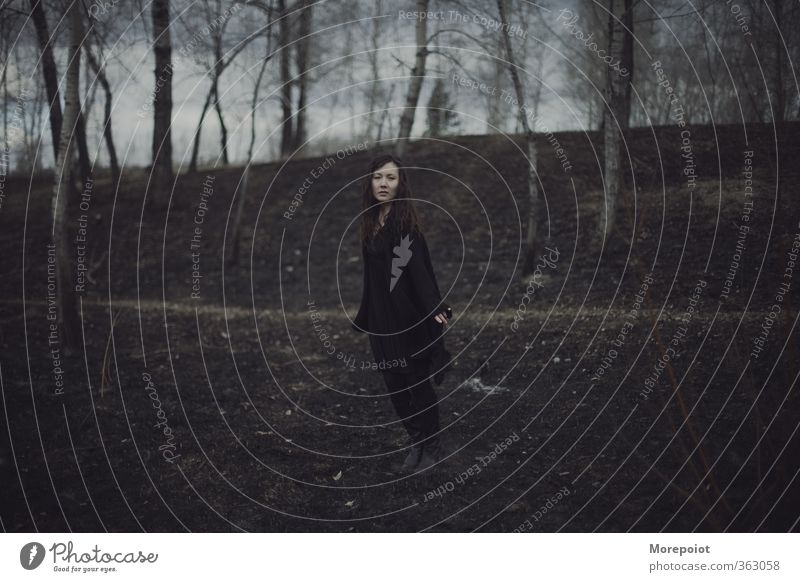 Baum feminin Junge Frau Jugendliche Erwachsene Körper 1 Mensch 18-30 Jahre Natur Erde Gewitterwolken Herbst Park Wald Mantel Stiefel brünett langhaarig fliegen