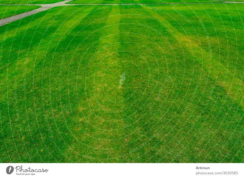 Grünes Grasfeld mit Linienmuster-Textur-Hintergrund und Gehweg abstrakt Gegend Ball schön Sauberkeit Nahaufnahme Farbe Konkurrenz Design leer Umwelt Feld