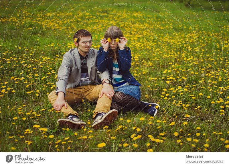 Löwenzähne Mensch Junge Frau Jugendliche Junger Mann Erwachsene Körper 2 18-30 Jahre Schönes Wetter Blitze Blume Gras Park Feld Blick sitzen lustig weich