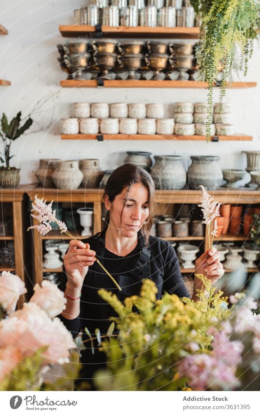 Weibliche Designerin entwirft Blumensträuße im Atelier Floristik Frau Blumenstrauß einrichten kreieren Blütezeit komponieren dekorativ kreativ Arbeit Beruf