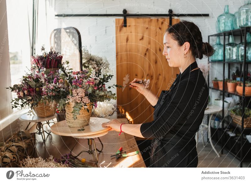 Weibliche Designerin entwirft Blumensträuße im Atelier Floristik Frau Blumenstrauß einrichten kreieren Blütezeit komponieren dekorativ kreativ Arbeit Beruf