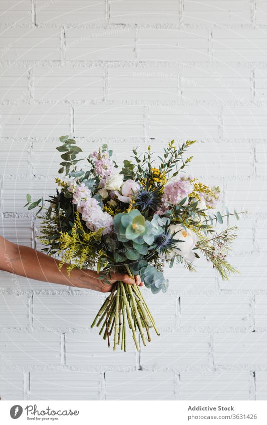 Frau hält einen Strauss frischer Blumen gegen weiße Wand Blumenstrauß Floristik Dekoration & Verzierung natürlich farbenfroh verschiedene Blüte Hand Blütezeit