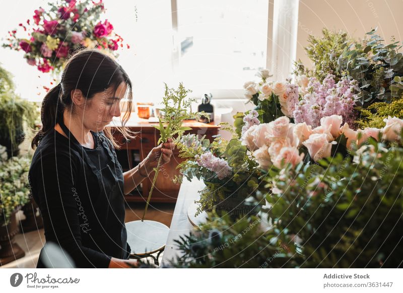 Weibliche Designerin entwirft Blumensträuße im Atelier Floristik Frau Blumenstrauß einrichten kreieren Blütezeit komponieren dekorativ kreativ Arbeit Beruf