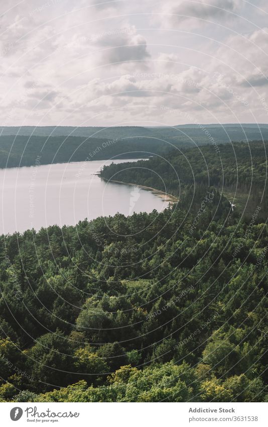 Malerische Seenlandschaft bei bewölktem Tag Wald wolkig Natur Landschaft Algonquin PP Himmel grau trist Sommer Pflanze Buchse Laubwerk Wasser friedlich