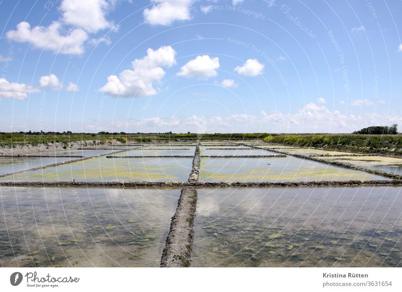 salzgewinnung auf der île de ré saline meerwassersaline salzgarten verdunstungsteiche sole fleur de sel meersalz verdunsten landschaft himmel wolken horizont