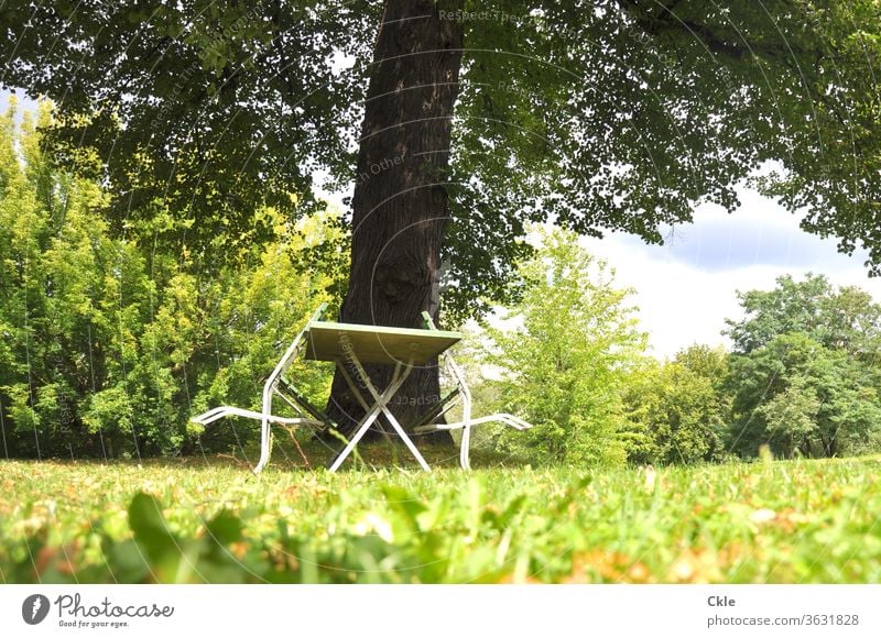 Stühle entspannen am Gartentisch Park Gartenmöbel Stuhl Tisch Baum Rasen Bäume Baumkrone Menschenleer Außenaufnahme Farbfoto Tag Gartenstuhl Wiese grün ruhig