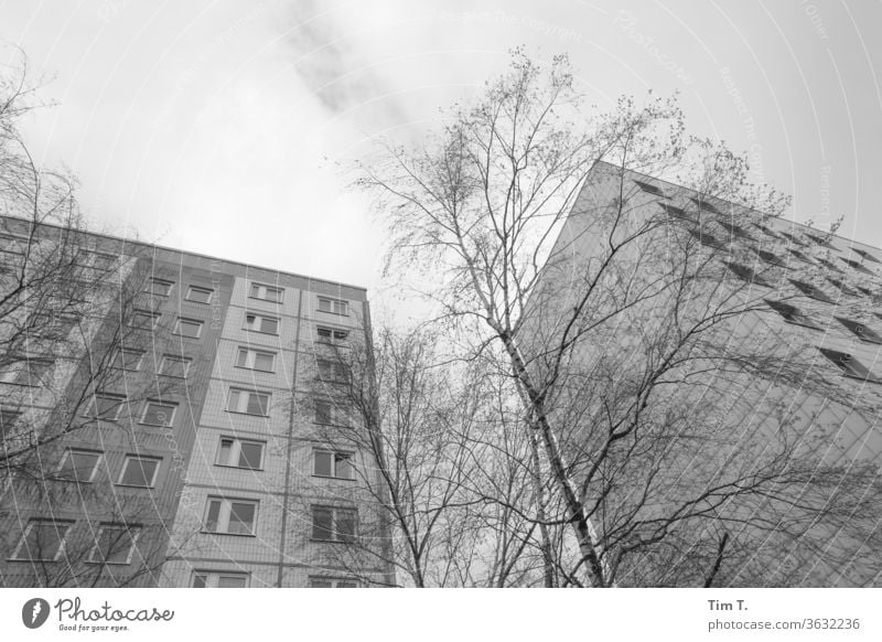 Platte in Prenzlauer Berg Plattenbau Berlin Stadt Hauptstadt Stadtzentrum Außenaufnahme Menschenleer Tag Haus Fenster Fassade Gebäude Architektur Bauwerk