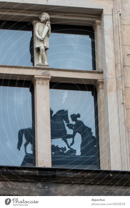 Fütterungszeit Spiegelung Pferd füttern Reflexion & Spiegelung Fenster Tier Tierporträt historisches gebäude Historisches Museum Außenaufnahme Architektur alt