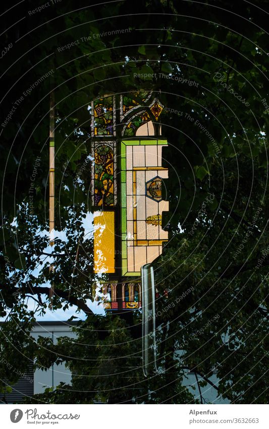 Naturflur Fenster Fensterscheibe Kunst Glas Reflexion & Spiegelung Architektur Farbfoto Scheibe Glasscheibe Menschenleer durchsichtig Haus Treppenhaus