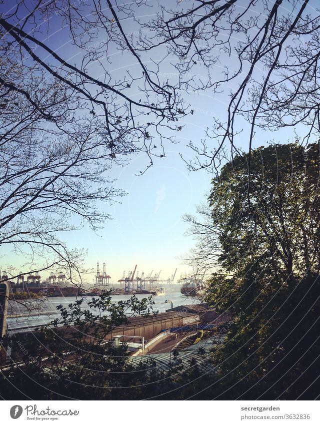 Kluge Krähen kucken koole klobige Kontainer Kräne. Himmel Hafen Hamburg Elbe Wasser Schifffahrt Hafenstadt Farbfoto Außenaufnahme Hamburger Hafen Stadt Fluss