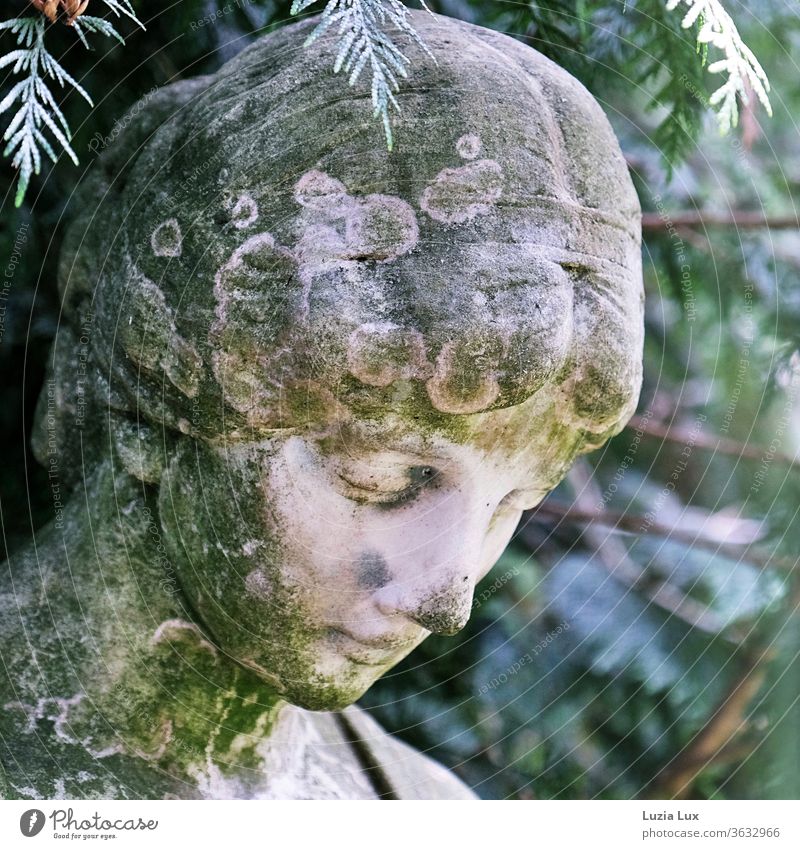 Die Dame lächelt, seit Jahrzehnten aus Stein... Friedhof Statue Lächeln lächelnd Lichter sanft vergänglich grün Sommer Sonne zauberhaft Außenaufnahme Farbfoto