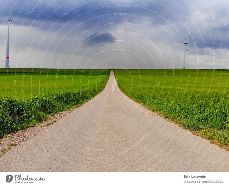 Endloser Weg durch eine grüne Landschaft Ackerbau Feld Grasland Antenne Flug Fliege Drohnen-Bildmaterial Wiese Natur Saison Sommer gelb Umwelt Bauernhof