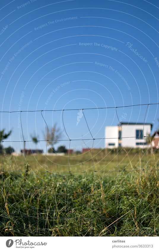 Schafweide am Neubaugebiet ( Schaf ist gerade  zu Mittag ) Wiese Zaun Weide Drahtzaun Gras grün Himmel blau Haus Natur Schönes Wetter Landschaft