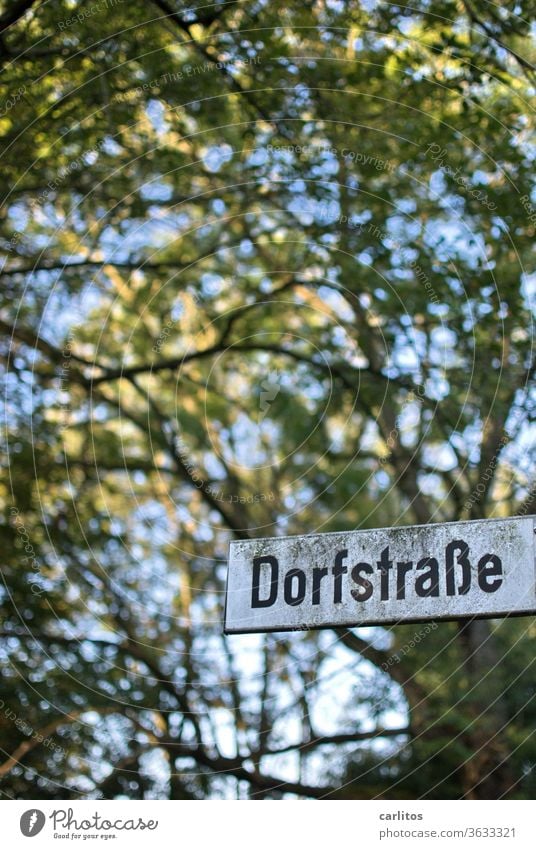 Downtown Kleinkleckersdorf Dorf Dorfstraße Provinz Schild Straße Baum Schrift Grün Schwarz Weiss Schatten Landleben Landflucht Ruhe Erholung