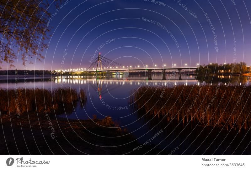 Blick auf die Pivnichnyi-Brücke über den Dnjepr in Kiew, Ukraine Dnjepr Fluss kyiv Typha Latifolia Herbst Schönheit blau Blaue Stunde hell bulrush Windstille