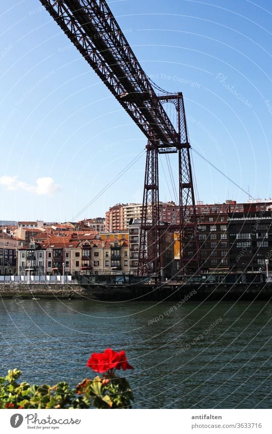 Brücken-Deko natürlich Idylle Spazierweg Häuserzeile Hafen Landschaft Gitter Säulenbau Stahl Windstille Natur Umwelt Außenaufnahme Aussicht Tourismus