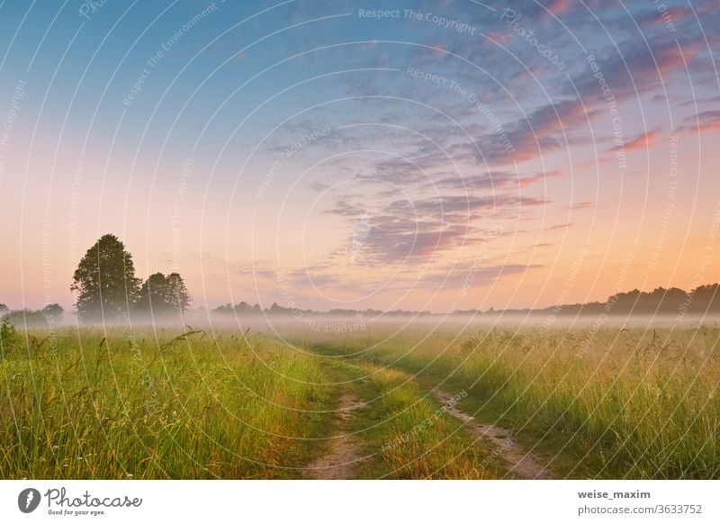 Unbefestigte Strasse, wilde Wiese im Morgennebel. Ländliche Sommerlandschaft im Sonnenaufgang Nebel Straße Gras Natur Schmutz Landschaft Himmel Feld Weg