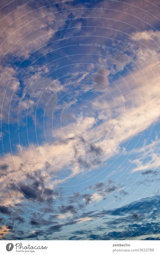 Himmel an einem Sommerabend altocumulus drohend dunkel dämmerung düster farbspektrum feierabend froschperspektive gewitter haufenwolke himmel hintergrund klima