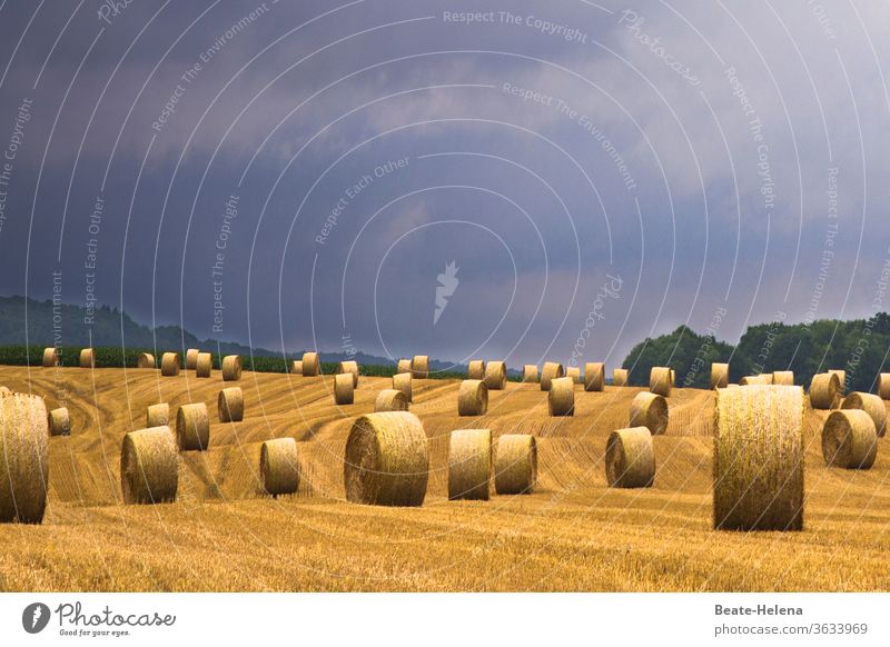 Nach der Ernte warten unzählige Strohballen bei drohendem Gewitter auf den Abtransport Heuballen Gewitterwolken Unwetter einbringen Spuren Feld Sommer