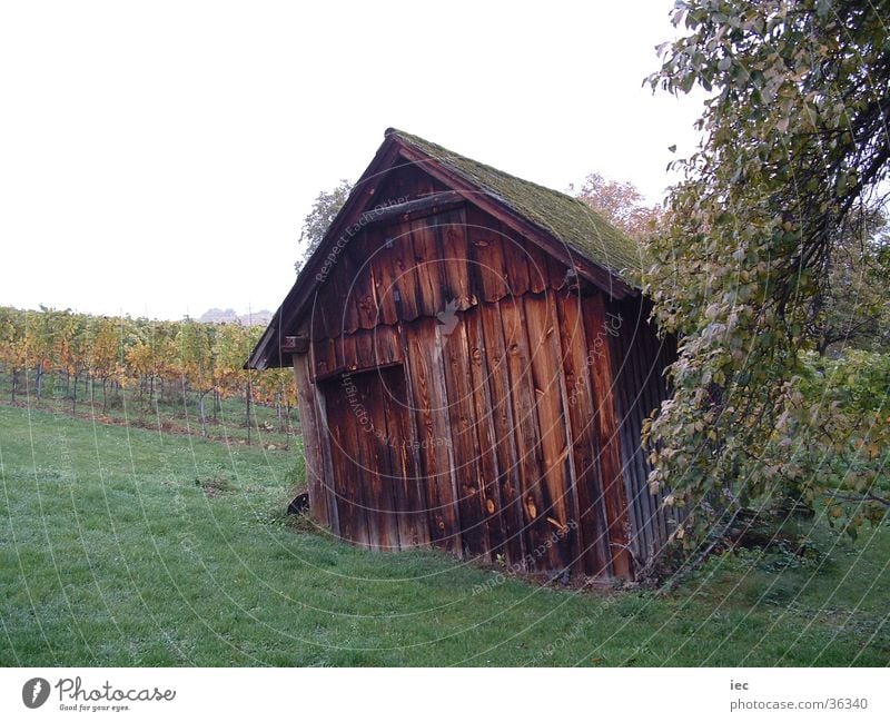 Hütte in den Weinbergen Holzhütte Einsamkeit Bundesland Burgenland Freizeit & Hobby