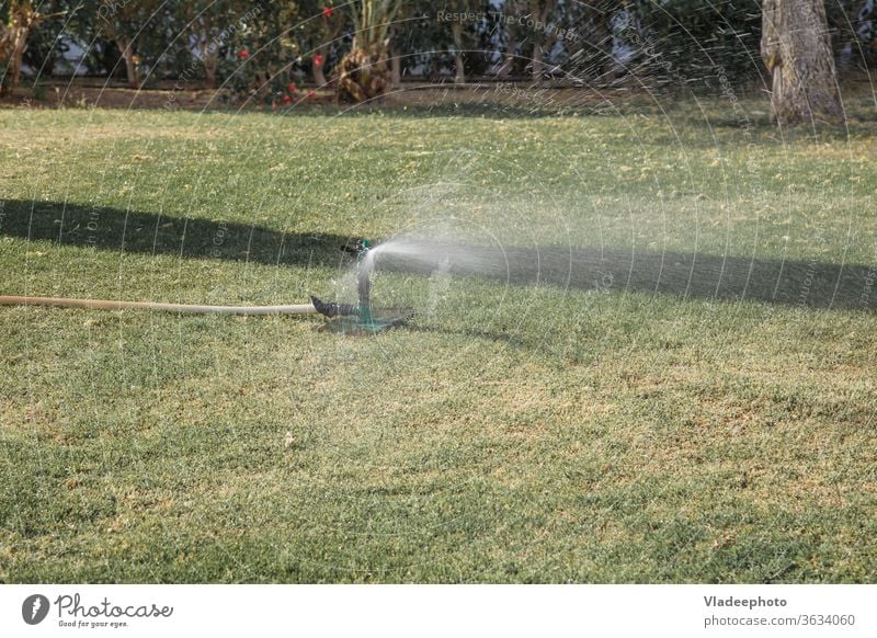 automatisches Rasenbewässerungssystem im Park. Beregnung des Rasens und der Pflanzen Gras Bewässerung System Berieselung Ackerbau Gerät Garten grün heimwärts