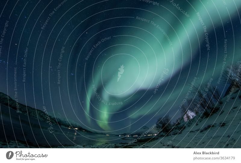 Nordlicht in Tromso, Norwegen tromso Norweger Fjord Fjorde Europa Eis Winter Norden Alaska arktische Kreuzfahrt Boot atemberaubend kalt Ausflugsziel entdecken