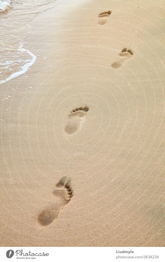 Fussspuren am Strand einer Meeresküste in Meeresnähe allein aqua Hintergrund Barfuß Bucht Windstille Küste Küstenlinie Ausflugsziel erkunden fließen Fuß Fußspur