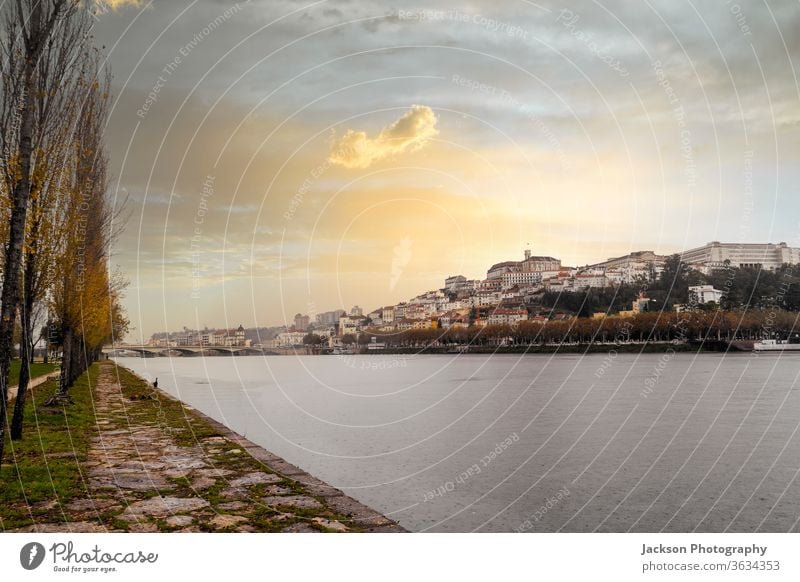 Das Stadtbild von Coimbra bei Sonnenuntergang, Portugal coimbra Fluss Architektur Stadtzentrum Straße Haus grün Garten Baum Natur UNESCO-Weltkulturerbe Sommer