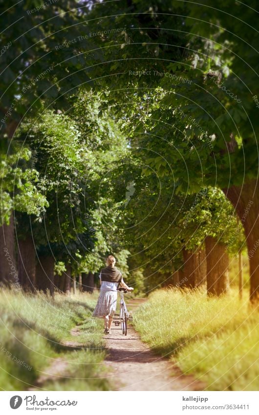 Der weg ist das Ziel Frau Fahrrad schieben Alleebäume Sommer Mobilität grün Wiese Fahrradfahren Farbfoto Tag Baum Straße Schatten Wege & Pfade Menschenleer