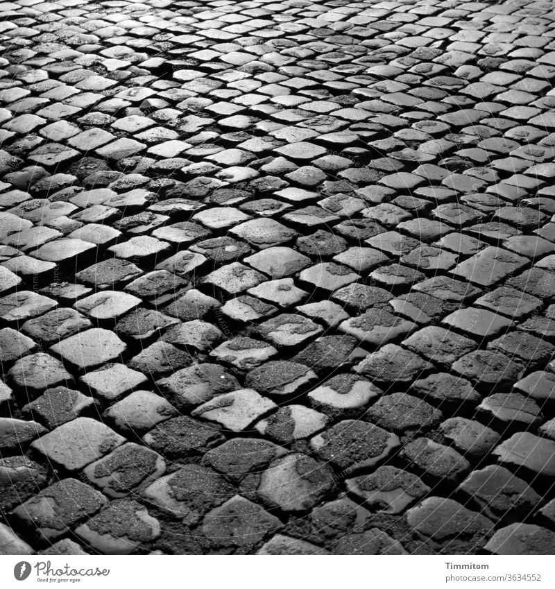 Römischer Platz Stein Steine Kopfsteinpflaster Fugen grau Licht und Schatten Pflastersteine Ort Asphalt uneben Wellen Erhebungen Senken Schwarzweißfoto