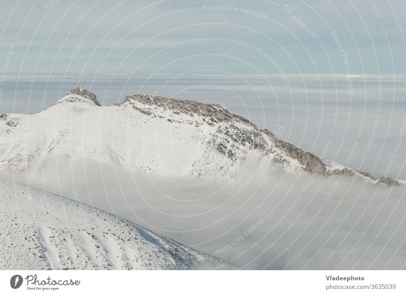 Winter in der Hohen Tatra. Hohe Tatra. Berge u. Gebirge Ambitus blau Landschaft Nebel Hügel Gipfel Panorama Natur schön Europa Kamm Alp Schönheit kalt Umwelt