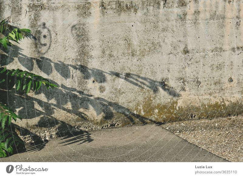 Grüne Wedel und ein Smiley an einer Betonwand im Industriegebiet, über allem lacht die Sonne Wand grün Unkraut Schatten Farbfoto Außenaufnahme Mauer