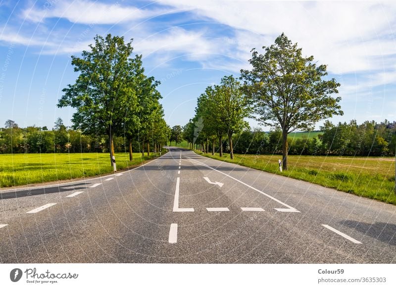 Landstraße mit Bäumen im Sommer Straße grün Natur Landschaft ländlich Himmel Weg reisen Ausflug Gras Asphalt leer Szene Ansicht Autobahn Feld Reise Baum