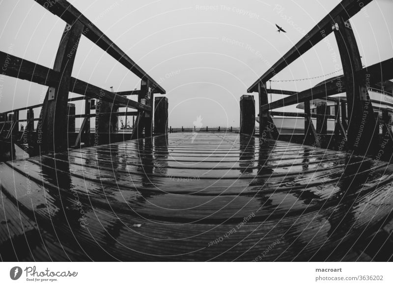 Seebrücke seebrücke Anleger Bootssteg Holz nass regen verregnet grau vogel fliegen weitwinkel fisheye urlaub ostsee rustchig hölzern holzbretter bootsanleger