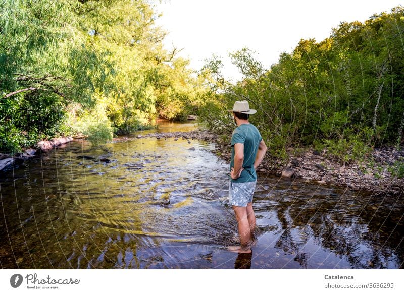 Junger Mann mit Strohhut und Badehose steht an einer seichten Stelle im Bach. Üppige Vegetation wächst an den Uferrändern Natur Pflanze Flora Büsche Gestrüpp