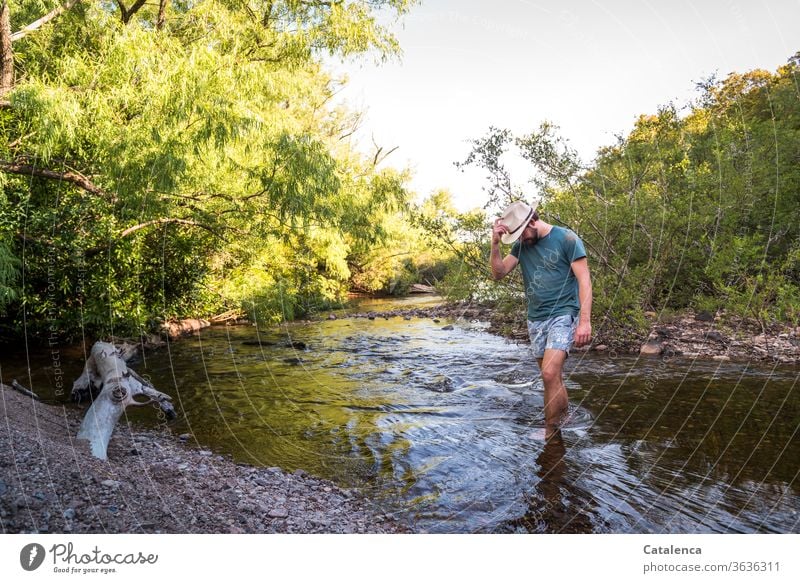 Junger mann watet durch einen Bach und hält dabei seinen Hut fest Natur Landschaft Wasserlauf nass Baumstamm Kiesel Steine Pflanze Bäume Ufer Himmel